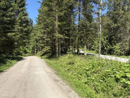 Foto von Heinz Sperl entlang der Tour