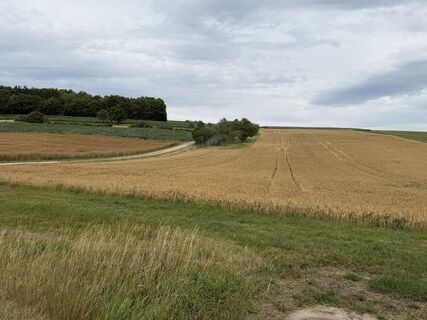 Photo de Schaali le long du parcours