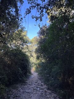 Fotografija s spletne strani Veronika Köppen na poti