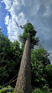 Zdjęcie z Edit Szoboszlay wzdłuż trasy