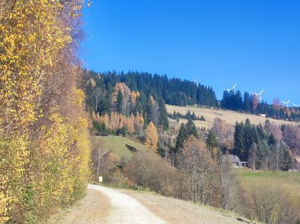 Foto von v.stein entlang der Tour