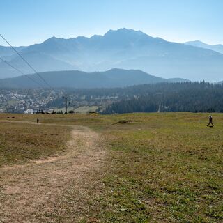 Höhenweg Foppa - Scheia - Fidaz - Flims