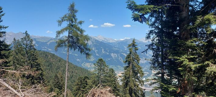 Fotografija s spletne strani brauni69 na poti