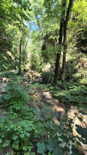 Photo de Claudia Maurer le long du parcours