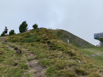 Foto van Koen De Wit langs de tour