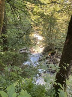 Fotografie de la Patrick Hellenbrand de-a lungul turului