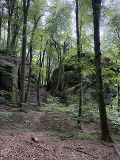 Foto von Nicole Versporten entlang der Tour