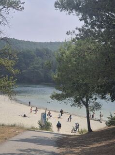 Fotografie z Frellie na trase