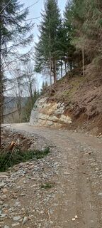 Foto från Isolde Udermann under resans gång