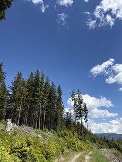 Fotografija s spletne strani Tamás Ónodi na poti