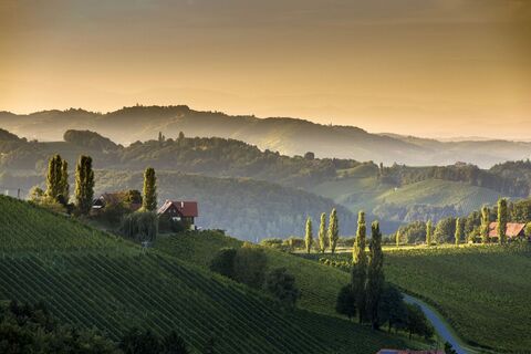 der-naturpark-suedsteiermark (1).jpg