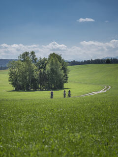 Zemljevid