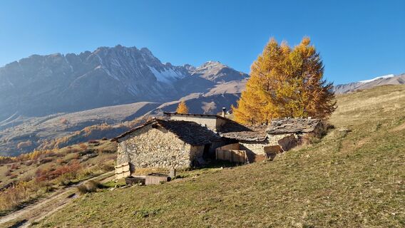 Fotografija s spletne strani Fabrizi Mellano na poti