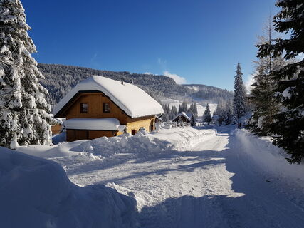 Almhaus Flattnitz-Stern