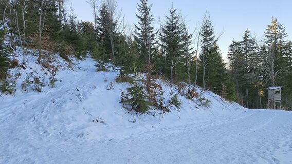 Pfad auf den Hochstdelberg