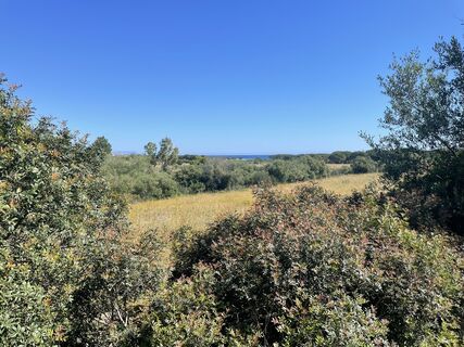 Photo de Hpvie320 le long du parcours