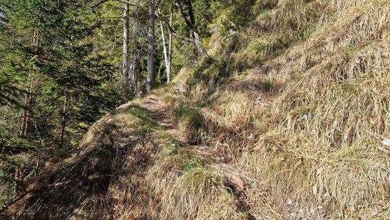 Weg entlang des grasigen Steilbereichs