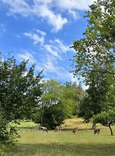 Foto von Veronika Strauss entlang der Tour