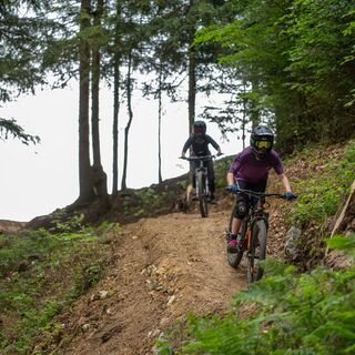 Blue Singletrail 01