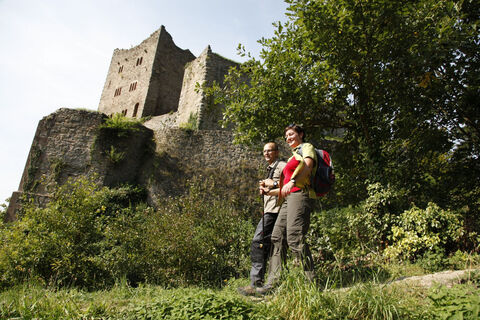 Castle Ruin Schauenburg