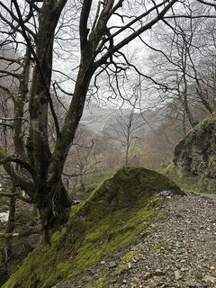 Fotografia z Elie Duffas na trase