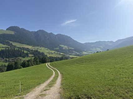 Photo de Matthias Opbacher le long du parcours