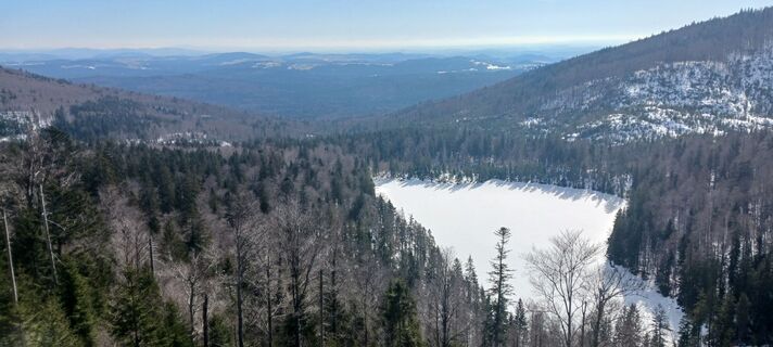 Fotografia z Zeta Kones na trase