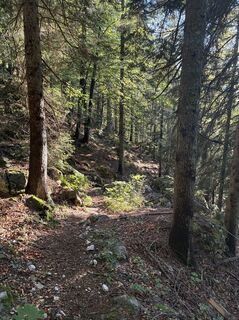 Foto von Wolfgang Jamnig entlang der Tour