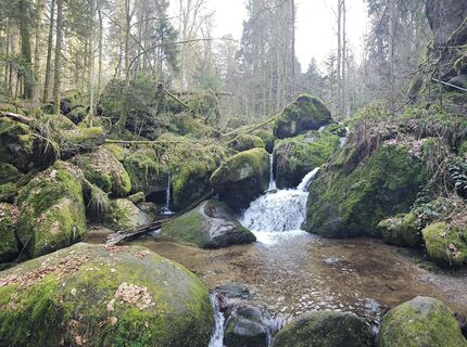 Photo de SchiMi780 le long du parcours