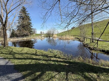 Fotografija s spletne strani Babajo na poti