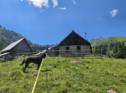 Fotografija s spletne strani MRDL na poti