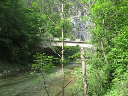 Wasserleitungsweg - Brandschneide - Törlweg