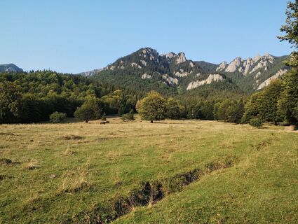 Foto von Tasurinki Mitote entlang der Tour