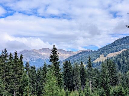 Photo de Sabrina Hackel le long du parcours