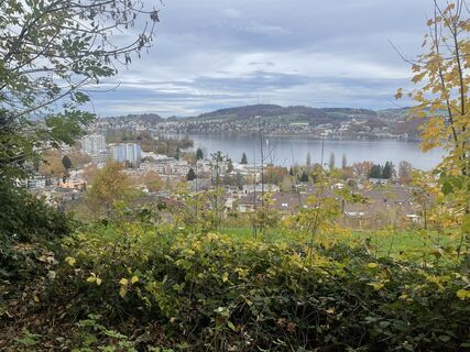 Fotografija s spletne strani Charlotte Schmidt 2 na poti