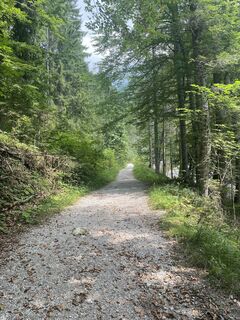 Fotografia z Corina Manuela Motisan na trase