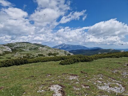 Photo de Gyula Tóth le long du parcours