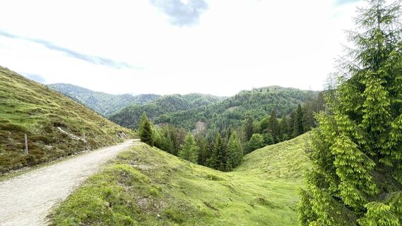Fotografie de la Dominik Armbruster de-a lungul turului