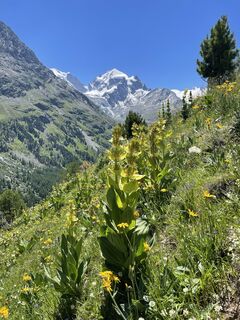Photo de Christiane Papp le long du parcours