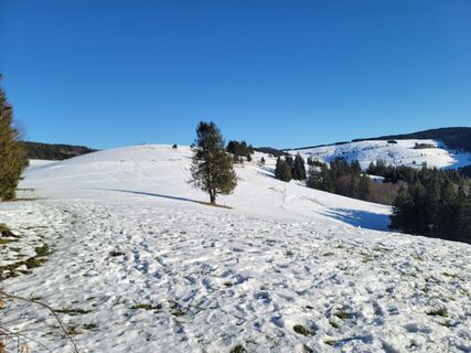 Fotografija s spletne strani Birgit Veeser na poti