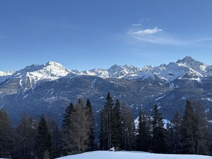 Foto von Grizzli entlang der Tour