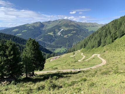 Photo de Koen De Wit le long du parcours