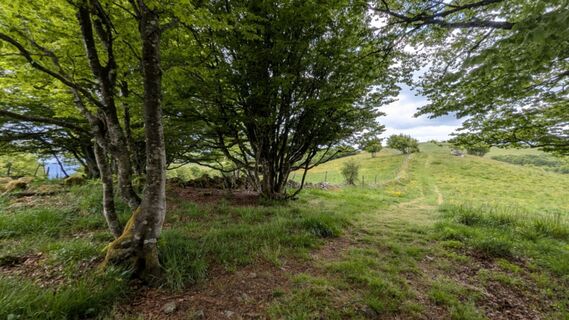 Zdjęcie z Richard Schwald wzdłuż trasy