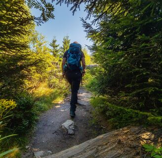 Wanderer geht über Wurzeln und Steine im Wald