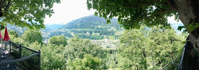 Photo de Crisu68 le long du parcours