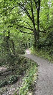 Foto von Wolfgang Ebenhofer entlang der Tour