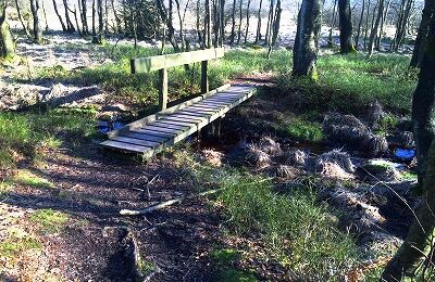 Brücke über Bach