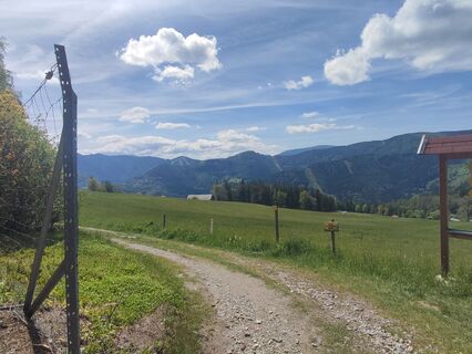 Fotografie de la v.stein de-a lungul turului