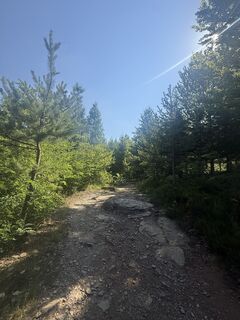 Foto de Mirvana Bashar a lo largo del recorrido