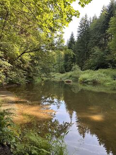 Photo de Babs Holz le long du parcours